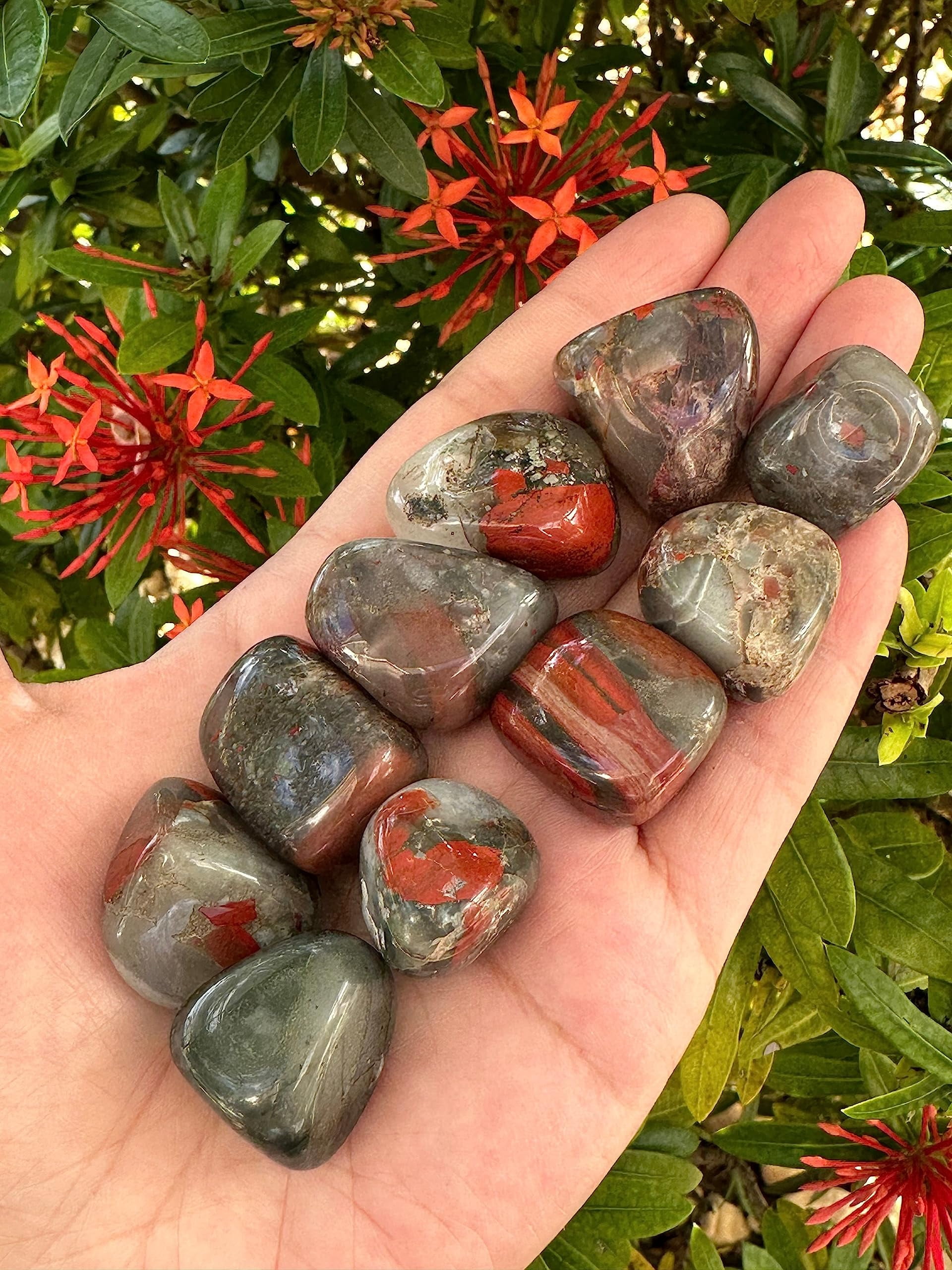 African Bloodstone Tumbled Stones, Polished African Bloodstone Gemstone, African Bloodstone Healing Crystals (African Bloodstone, 0.5 Pound)