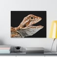 thumbnail image 3 of Smiling Bearded Dragon Baby Close Up Print Animal Wall Art Wildlife Canvas Prints Wall Art Ready to Hang Unframed, 3 of 18