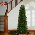 thumbnail image 3 of National Tree Company 6.5 ft. Pennington Fir Pencil Tree with Clear Lights, 3 of 4