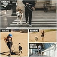 thumbnail image 7 of Plutus Pet Hands Free Dog Leash, Soft Padded Dual Handle Retractable Bungee Leash with Reflective Stitches, Adjustable Wasit Leash for Dog Walking Running Jogging, for Medium Large Dogs, 7 of 7