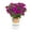 Purple, variant on SunPatiens 2QT Orange Impatiens Live Annual Plant Sun 3-Pack