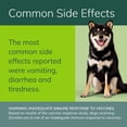 thumbnail image 5 of Zenrelia (Ilunocitinib Tablet) Once Daily Prescription Itch Relief for Dogs 8.5 mg (90 Count), 5 of 11
