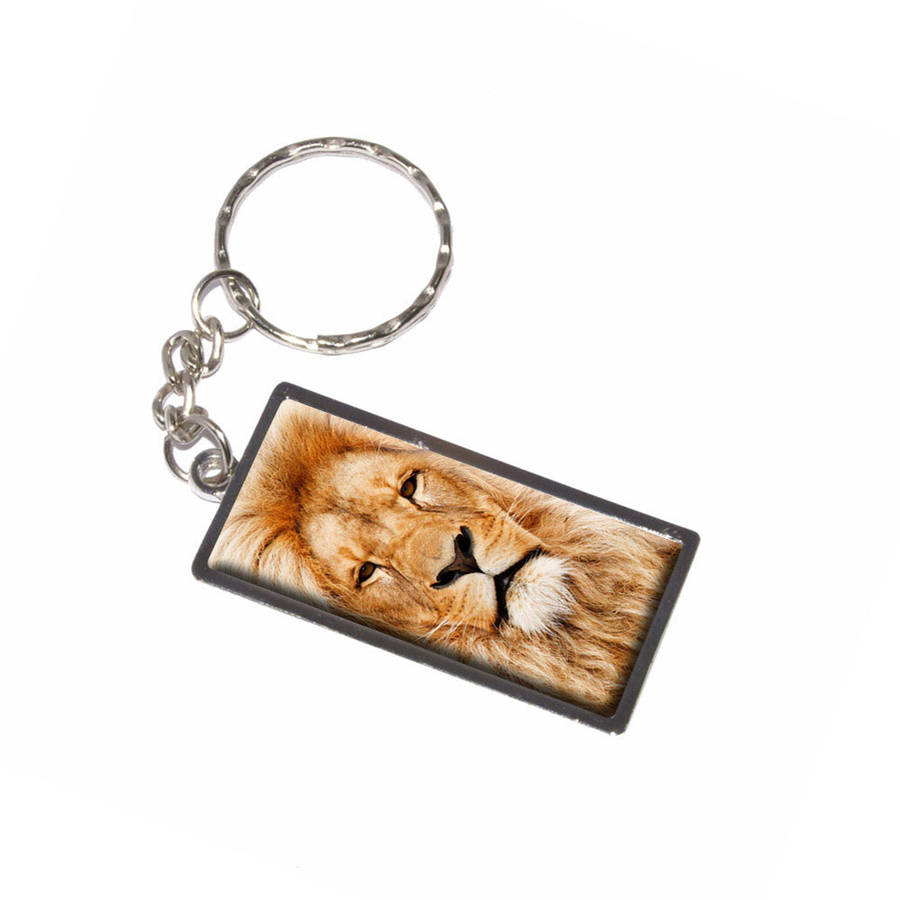 Portrait Of A Male Lion Keychain Key Chain Ring