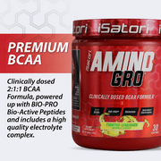 iSatori - Amino-Gro Muscle Building Amino Acid Formula Frosted Lemonade - 9.52 oz.