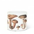 thumbnail image 1 of Small Botanical Mushroom Planter, 1 of 5