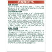 Garnier Nutrisse Ultra Color Bold Permanent Hair Color Kit, RC1 Med Copper Red