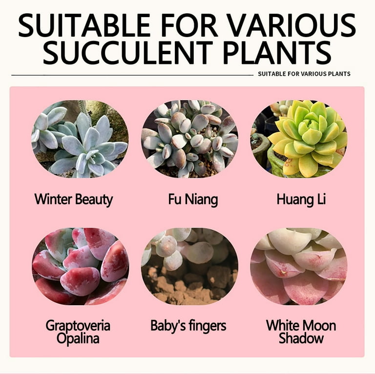 outdoor glazed plant pots Glazelite Garden Pots, Set Of 3 main image 1