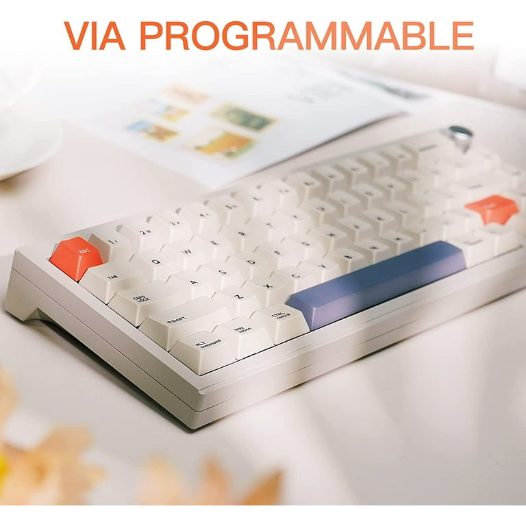 EPOMAKER CIDOO V65 V2 65% Mechanical Keyboard, Wireless