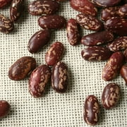 (6 Pack) Tongues Of Fire Dried Beans