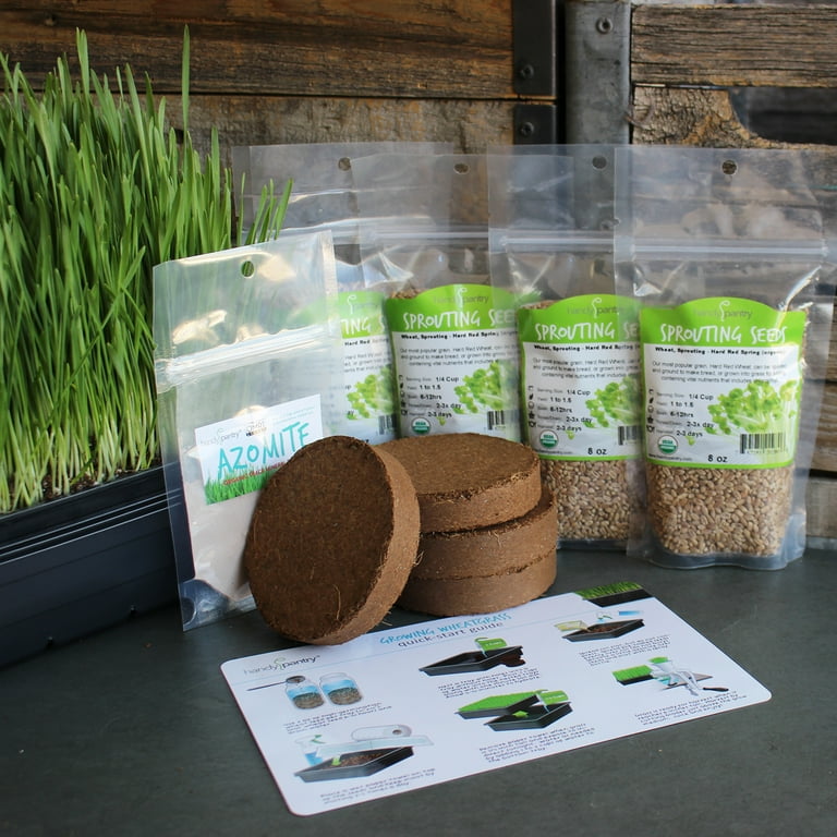 Organic Wheatgrass Growing Starter Kit Grow Juice Wheat Grass
