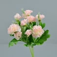 thumbnail image 5 of 2025 New Indoor/Outdoor Artificial Flowers 2 in 1 Carnation Artificial Flowers 5 Forks And 10 Carnations Family Party Home Decoration Plastic Flowers Clearance, 5 of 6