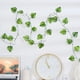 thumbnail image 4 of 100 Uds clip de fijación de vid de pared soporte de escalada de plantas gancho adhesivo de pared soporte de planta clip de encuadernación soporte de vid, 4 of 6