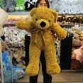 thumbnail image 5 of PELUCHERIA - Oso de Peluche Color Kaki 80 cm Premium, 5 of 5