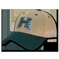 thumbnail image 1 of Hawaii Structured Jute Cap, Hunter, 1 of 1