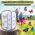 thumbnail image 4 of DPTALR Foldable Caterpillar Habitat Butterfly Cage For Airflow Butterfly Education Toy, 4 of 5