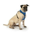 thumbnail image 2 of Casual Canine Mesh Dog Harness, 2 of 4