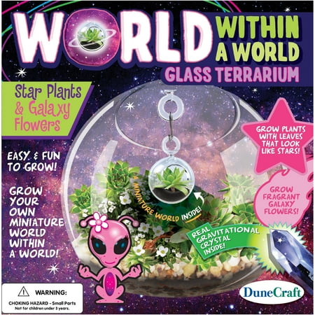 World Within a World Glass Terrarium Star Plants & Galaxy Flowers