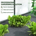 thumbnail image 4 of Outsunny Serre Adossée avec Housse en PE, Serre de Jardinage, Blanc, 4 of 10