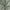 Sage Green, variant on Efavormart 5 Yards Velvet Fabric Bolt 65" Wide Fabric Roll Rose Champagne Soft Touch Velvet Fabric