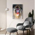 thumbnail image 6 of Epic Art 'Blushing Mandrill' by Robert Campbell, Acrylic Glass Wall Art, 24"x36", 6 of 8
