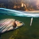 thumbnail image 5 of Señuelo de pesca de Metal de hundimiento rápido, cebo de pesca con ojos 3D, accesorios de pesca con brillo UV, 5 of 6