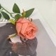 thumbnail image 1 of Nvzi 10 rosas artificiales de tallo largo, rosas de seda falsas para ramo de boda, decoración del hogar (melocotón), 1 of 4