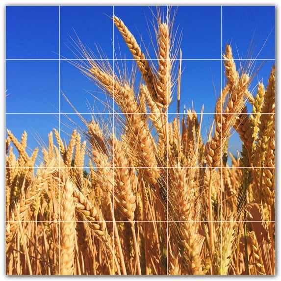 Picture-Tiles.com: Farm Ceramic Tile Wall Mural WAL500584-55L. 40"W x 40"H using (25) 8" x 8" Ceramic Tiles-Satin Finish