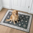 thumbnail image 2 of 2x3 Area Rug Washable Entryway Small Rug, Vintage Boho Oriental Front Door Mat, Non-Slip Rubber Backing Stain Resistant Floor Mat for Entrance, Bathroom, Kitchen, Hallway., 2 of 8