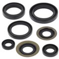 thumbnail image 1 of QuadBoss Oil Seal Set, 1 of 1