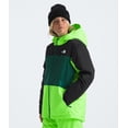 thumbnail image 2 of Chaqueta THE NORTH FACE Freedom Insulated Safety para niños, color verde, 2 of 6