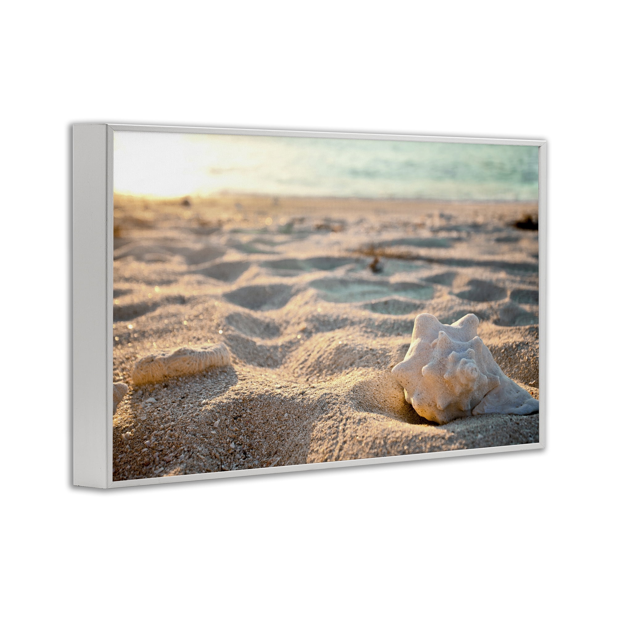 Stupell Industries Conch Shell in Sand Coastal Photography White Framed Art Print Wall Art, 18 x 12