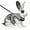 Gray, variant on Bunny Rabbit Harness Leash Set, Adjustable Buckle Breathable Mesh Vest Escape Proof for Small Pets Walking Outdoor