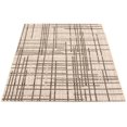 thumbnail image 4 of ECARPET Indoor Outdoor Area Rug for Patio, Deck, Living Room Sisal Burburry Collection, 4 of 9