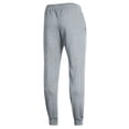 thumbnail image 3 of Men's Champion  Heather Gray Chicago Cubs Powerblend Joggers, 3 of 3