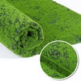 thumbnail image 2 of Cqxid Carpet Under $15 Simulation Bryophyte Wall Shop Window Landscaping False Bonsai Decoration False Immortal Multicolor, 2 of 9
