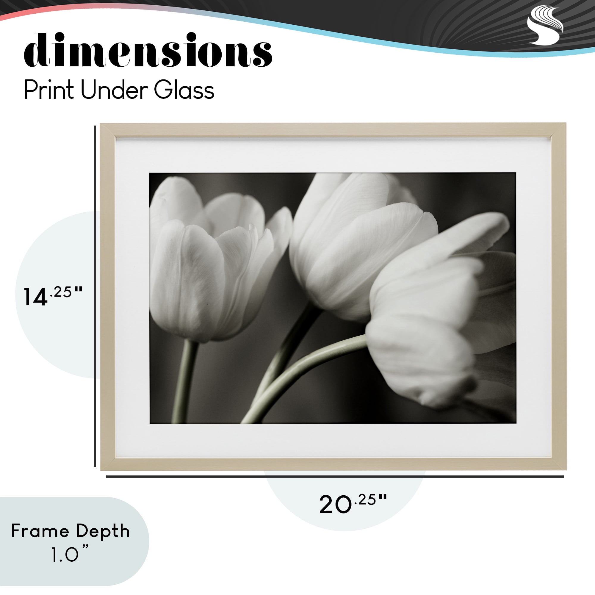 Stupell Industries Row Of Monochrome Tulips Birch Framed Print Under Glass, design by Tom Quartermaine