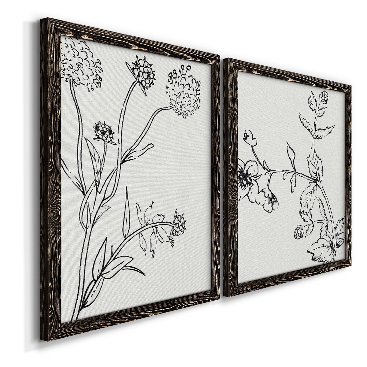 Botanical Study I - Premium Framed Canvas 2 Piece Set - Ready to Hang