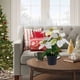 thumbnail image 4 of Decoración en maceta de flores artificiales de Navidad - Planta de plástico blanca y roja para mesa, salón, escalera - 12,6 pulgadas, 4 of 6