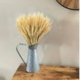 thumbnail image 3 of 100 Stems Dried Wheat Stalks for Decor, 15.7inch Wheat Sheaves Wheat Grass Decor Natural Wheat Bunch Wheat Decor Natural Wheat Stalks Dried Flowers for Home Wedding Table Farmhouse Decor, Natural, 3 of 6