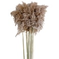 thumbnail image 2 of 10pcs Dried Grass Feathers Natural Dried Reed Flowers Bouquet Arrangements for Wedding Vase Holder Garland Home Decor - Nature, 5cm 50-60cm, 2 of 8