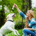 thumbnail image 4 of Juguetes para morder para cachorros, 4 piezas de mordedores con pelotas y cuerdas de algodón, juguetes para morder agresivos, regalo para cachorros pequeños y perros medianos (rosa), 4 of 5