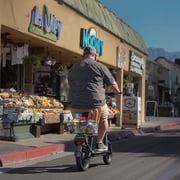 SISIGAD Electric Scooter with Seat for Adults, 500W Peak Motor, 36V 7.8Ah Battery, 20 Miles Range, E Scooter with Large Basket, UL2272