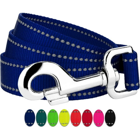 1 Inch Royal Blue Reflective Nylon Dog Leash - 4 Foot