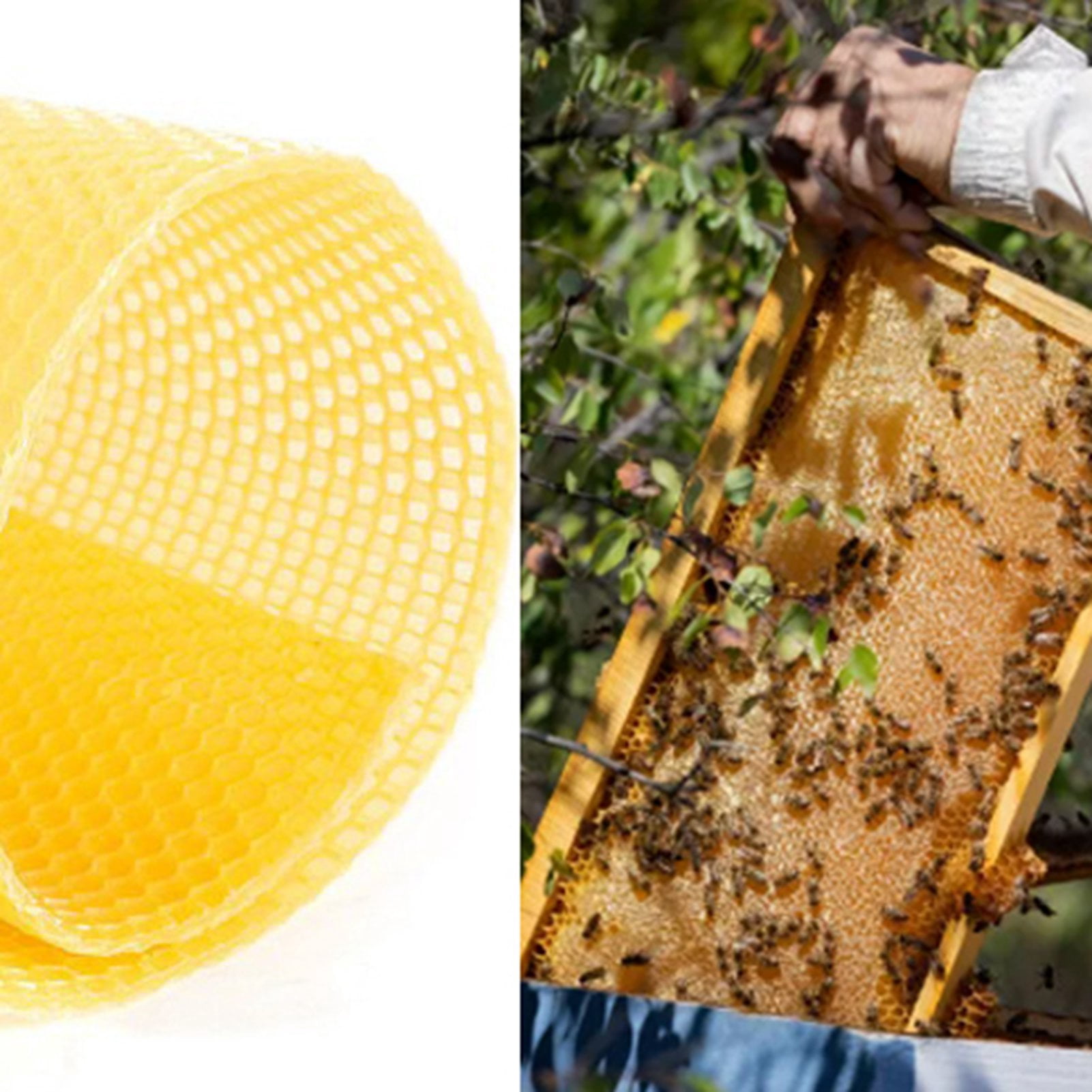 Molde Manual Para Prensar Cera De Abeja - 2 Piezas De Goma, Tamaño 42x23 Cm, Para Hacer Láminas De Panal, Apicultura