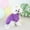 Purple, variant on kladzum Dog Clothes New Carrot Sweater Cute Dog Clothing Small and Medium-Sized Dog Pet Clothes Warm Dog Coat Dogs Costumes
