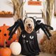 thumbnail image 5 of Ropa de estilo de araña para mascotas de Halloween Ropa de cosplay de mascotas creativas horribles, 5 of 5