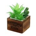 thumbnail image 1 of Laklulu Bonsai artificial de la flor de la decoración de la planta, planta en maceta carnosa del pote de madera cuadrado, 1 of 5
