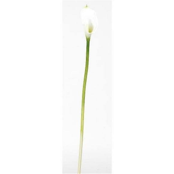 Calla Lilly Silk Flower 12 Stems