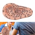 thumbnail image 1 of MODOLO DE PUNTO DE ACUPUNTRA DE Oído, Claramete Visible de 17 cm de longitud de enseñanza de la enseñanza Modelo de Visualización de acupuntura de oído para suministro de, 1 of 7