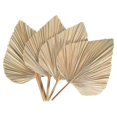thumbnail image 1 of 4Pcs Dried Palm Leaves Dried Palm Fans Bohemian Dried Palm Spears Artificial Plants Palm Leaves Trop, 1 of 5